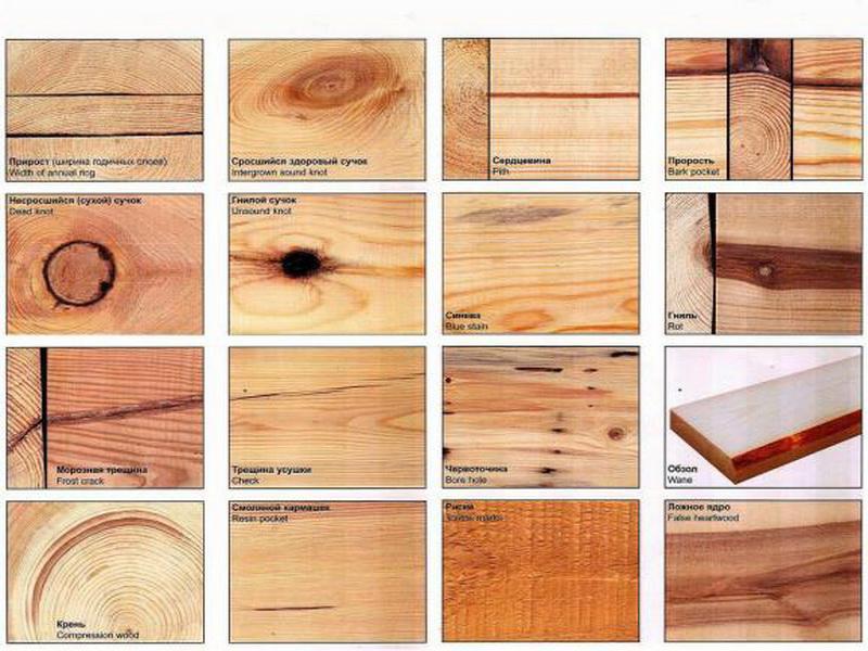 Возможные повреждения древесины