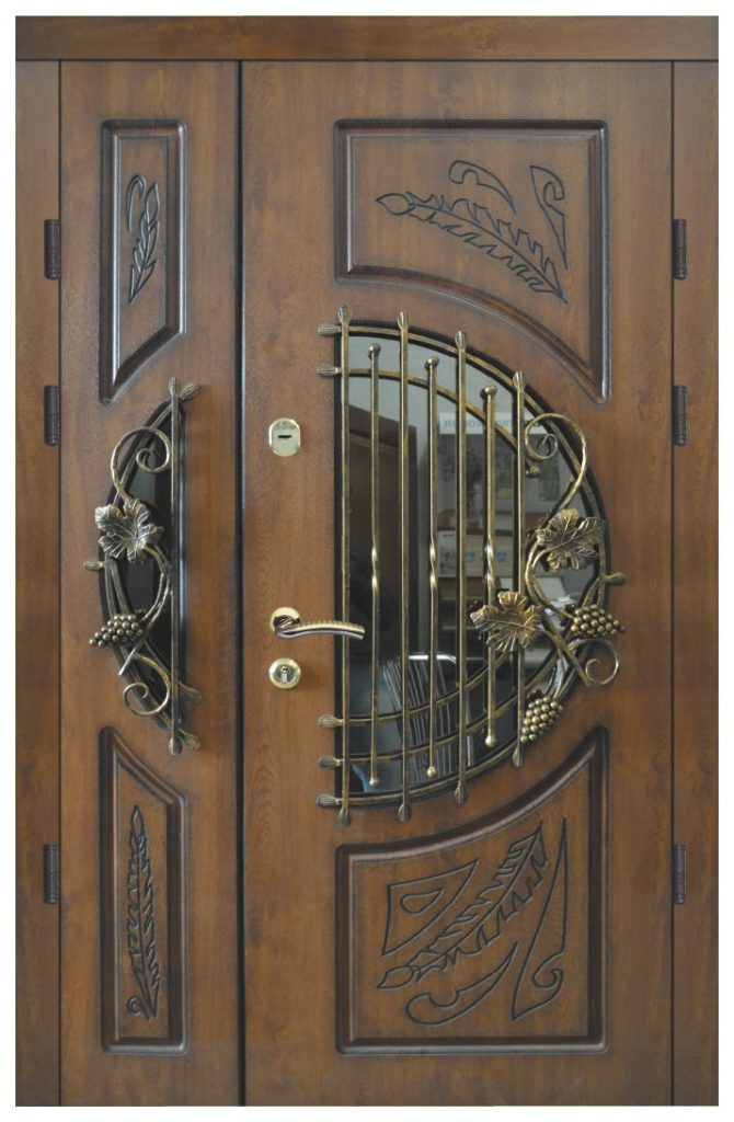 Разнообразие входных дверей